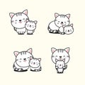 Collection of cat and baby cat. Royalty Free Stock Photo
