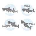 Collection of shark and baby shark cartoon.