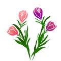 Web. Realistic vector colorful tulips set. Spring flowers background. Bouquet of tulips isolated. Royalty Free Stock Photo