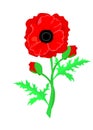 Web. Vector illustration of a bright poppy flower. Remembrance day symbol.