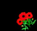 Web. Remembrance Day vector poster on a hand drawn ink background. Lest We forget. Paper cut Red Poppy flower