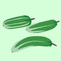Vegetables. Vector image of cucumber flat style