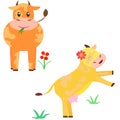 Web Set of Vector Cartoon Illustration. A Cute Cow for you Design Royalty Free Stock Photo