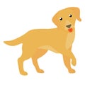 Web Happy dog illustration . Vector dog breed icon domestic animal pet illustration