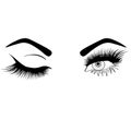 Web woman`s sexy luxurious eye with perfectly shaped eyebrows and full lashes. Idea for business visit card, typography . Pe