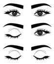 Web. Micro blending. Vector of eyes, eyelids and eyebrows. Logo of a woman`s face