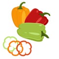 Vegetables. Sweet pepper vector color flat image