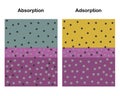 Adsorption and Absorption.