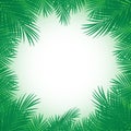 Exotic tropical palm tree. Frame border background. Summer vector illustration. Template for card.