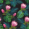 Tropical pattern with exotic protea flowers. Trendy vector seamless texture.