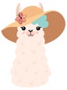 Summer illustration with a cute llama in a funny hat with a flower. Vector template. Stylish drawing for birthday cards, party inv