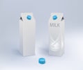 Two Milk Carton Packages Blank White .Milk splash Royalty Free Stock Photo