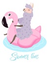 Funny illustration of a cute llama on a flamingo inflatable pool float. Vector template for greeting card, banner, postcard, poste Royalty Free Stock Photo