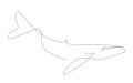 Whale silhouette one line drawing vector