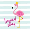 Tropical vibes - Motivational quotes. Royalty Free Stock Photo