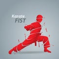 Karate fist splash silhouette Royalty Free Stock Photo
