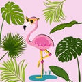 Flamingo and palm leafs