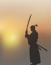 Japanese Swordsman Under The Sun Royalty Free Stock Photo