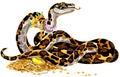 Cartoon Python snake guarding treasure