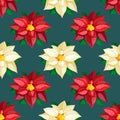 Christmas and new year seamless white and red Poinsettia pattern on a dark background. Christmas Star pattern. Royalty Free Stock Photo