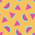 Watermelon pink fruit pattern background