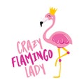 Crazy flamingo lady - Motivational quotes.