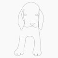 Beagle puppy on white background, cute dog line drawing vector