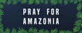 Pray for Amazonia. Amazon rainforest burns