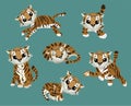 Various cartoon tiger set. Cute cubs. Vector illustration for a great postcard. Sweet animals collection. Royalty Free Stock Photo