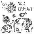 Vector hand draw India elephant
