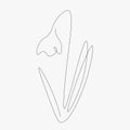 Spring flower snowdrop one line drawing, vector Royalty Free Stock Photo