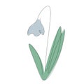 Spring flower snowdrop one line drawing, vector Royalty Free Stock Photo