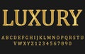 Shiny modern gold font isolated on black transparent background