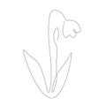 Spring snowdrop one line drawing vector illustration Royalty Free Stock Photo