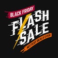 Black Friday Flash Sale Hottest Deal vector sign