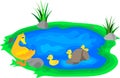 Web duck with ducklings on the lake. yellow ducklings float on the river and nature.. Royalty Free Stock Photo