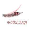 Idea logo in beauty salon, vector eyelashes and eyes on white background..