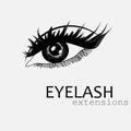 Web makeup black eyelashes and eyebrows on a white background. logo for salon, banner.. Royalty Free Stock Photo