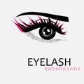 eyelashes and eyebrows, logo. vector makeup..