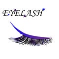 Eyebrows and false eyelashes on a white background. logo of cosmetic salon