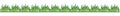 Bright, green, juicy, spring grass. Grass on the lawn. Seamless blade of grass border - bright spring border for websites