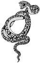 Coiled snake tattoo black and white