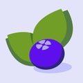 Isolated blueberri with leaves Royalty Free Stock Photo