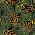 Abstract seamless tropical pattern with colorful plants and leaves. Jungle leaf seamless vector floral pattern background.