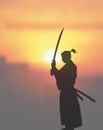 Japanese Swordsman Under The Sun Royalty Free Stock Photo