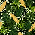 Abstract seamless tropical pattern with colorful plants and leaves. Jungle leaf seamless vector floral pattern background.