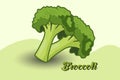 Cauliflower or broccoli icon Royalty Free Stock Photo