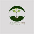 Ecological logo globe plant leaf, green leaf, nature logo andlogo fores