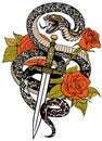 Snake, dagger and roses tattoo Royalty Free Stock Photo