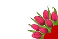 Bouquet of tulips and a heart. Valentine`s Day. Royalty Free Stock Photo